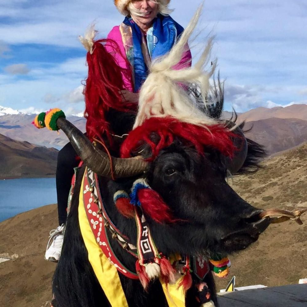 Meet your Posher, Paula